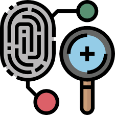 investigat